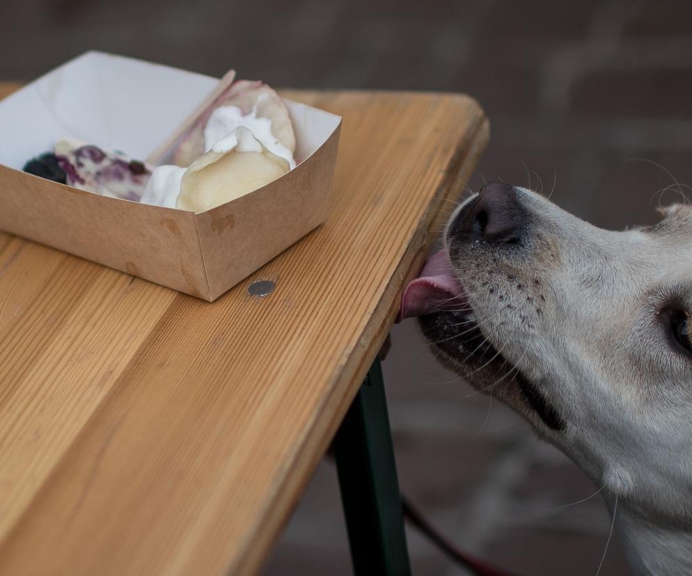 Krakowski Festiwal Pierogów