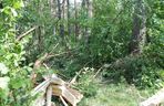 Tragedia w lesie w woj. lubelskim