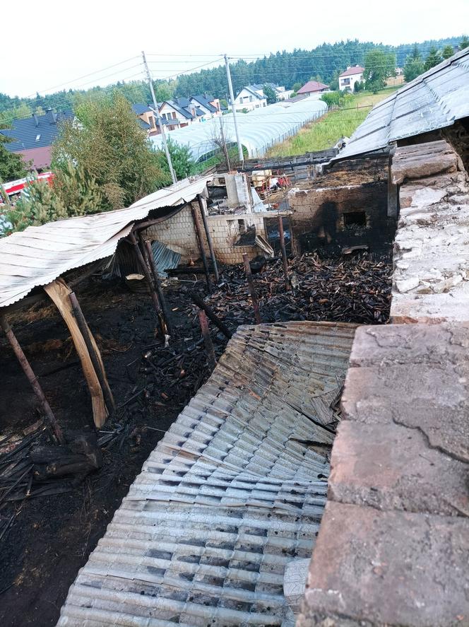  Pożar w Tajęcinie [GALERIA]