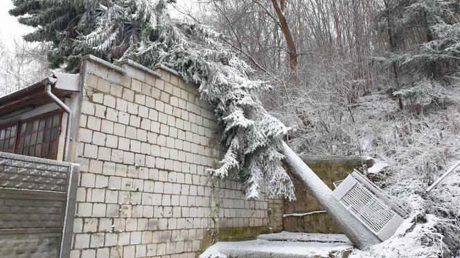 Efekty burzy śnieżnej nad Starachowicami