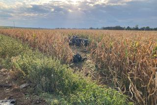 Tragiczny wypadek na DW 434 w pow. gostyńskim. Czołowe zderzenie dwóch samochodów