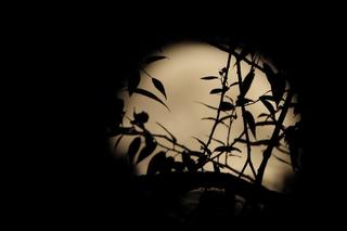 Bajkowa pełnia Księżyca w Rabskiej Dolinie