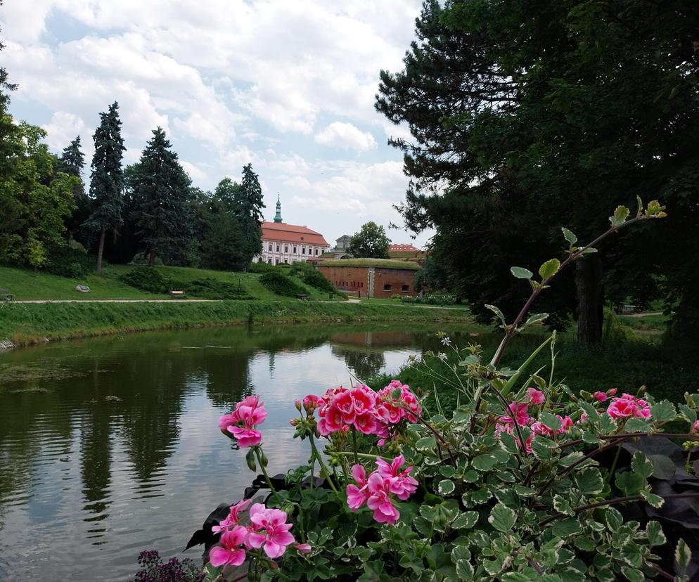 Letni spacer w parku miejskim w Zamościu