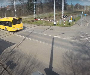 Wjechał autobusem na tory, choć zamykały się rogatki. 