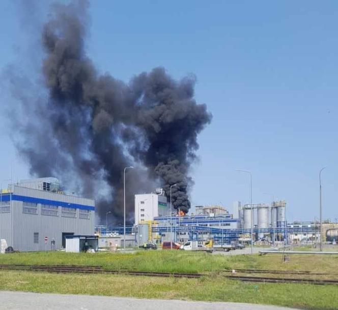 Pożar w fabryce chemicznej w Oświęcimiu. Słup czarnego dymu nad miastem