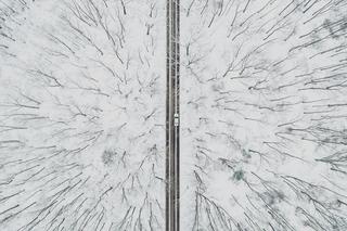 Zimowy Śląsk, zdjęcie dnia
