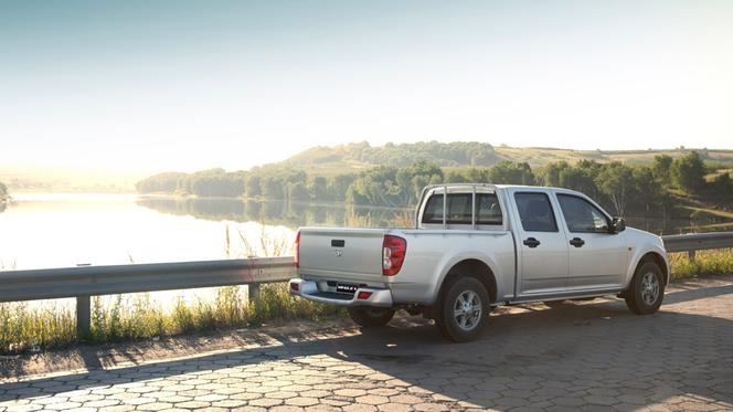 Great Wall Steed