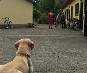 Zaginiona dziewczynka z Dziewkowic odnaleziona. Policja zatrzymała mężczyznę