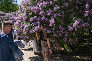 Piknik Europejski w Warszawie - 1 maja 2025
