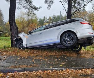 Pijany Ukrainiec rozbił auto na drzewie