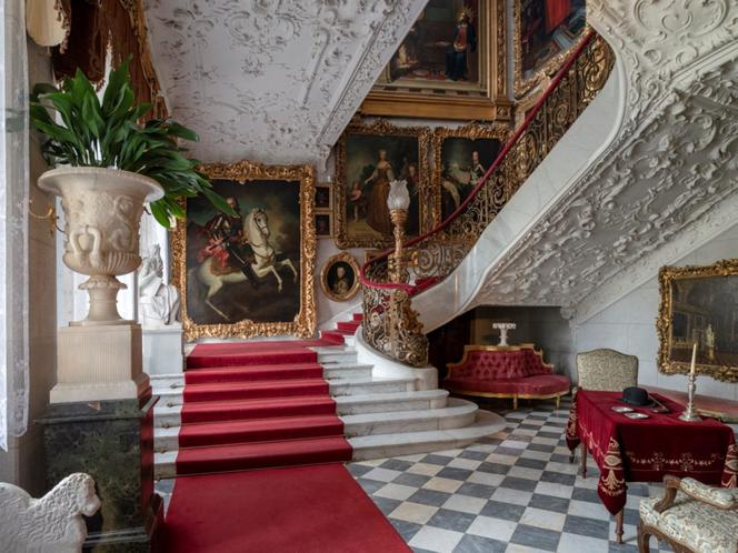 Wirtualnie u hrabiego Zamoyskiego