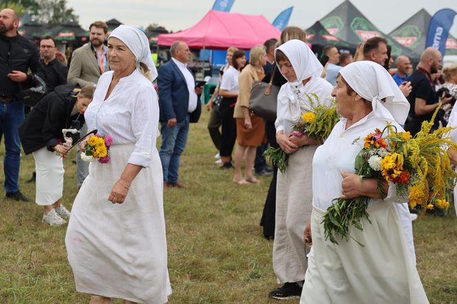 Korowód dożynkowy na dożynkach wojewódzkich 2025 w Świdniku
