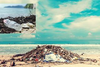 GIGANTYCZNE kary za zaśmiecanie plaży i lasów! Wiceminister klimatu i środowiska podał szczegóły