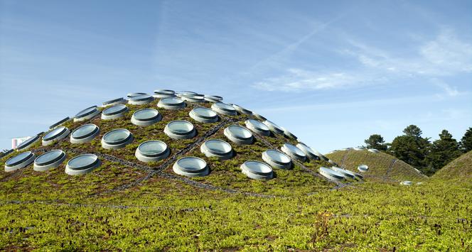 Budynek California Academy of Science: połączenie przyrody z architekturą