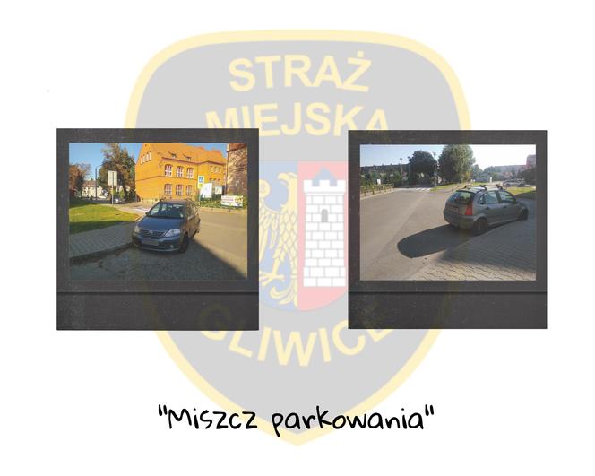 Miszczowie parkowania w Gliwicach 