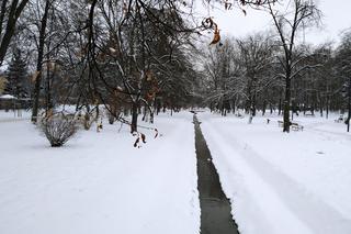 Jest świąteczny nastrój - śnieg przyszedł właśnie na święta. 