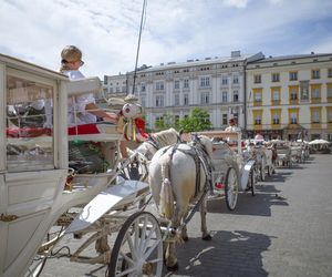 Nie dla krakowskich dorożek na liście niematerialnego dziedzictwa. „To barbarzyński obyczaj, a nie kultura”