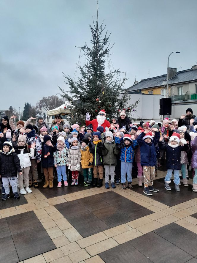 Na rynku w Mordach stanęła choinka