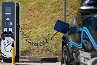 W Gdyni jest coraz więcej elektryków. Elektromobilność to nie tylko transport publiczny!