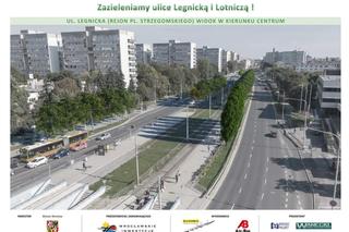 Kilkaset drzew podadzą na Legnickiej i Lotniczej