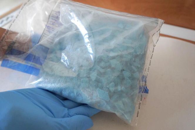 Policyjny nalot na mieszkanie w Toruniu. Zatrzymali 24-latka, znaleźli narkotyki