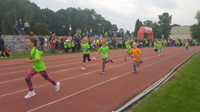 12. Bieg Siedleckiego Jacka