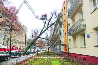 Wichura rozrabiała w mieście