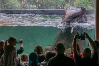Sztuczna inteligencja wybrała największą atrakcje dla rodzin z dziećmi. Łódź z atrakcją na europejskim poziomie