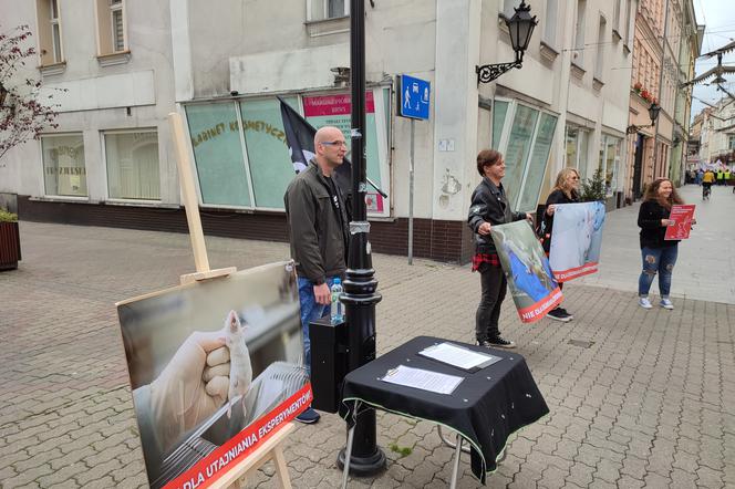 Protest Fundacji VIVA w Lesznie