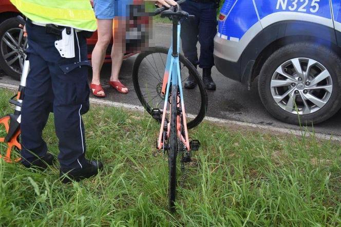 Sarna zaatakowała rowerzystę. Trafił do szpitala