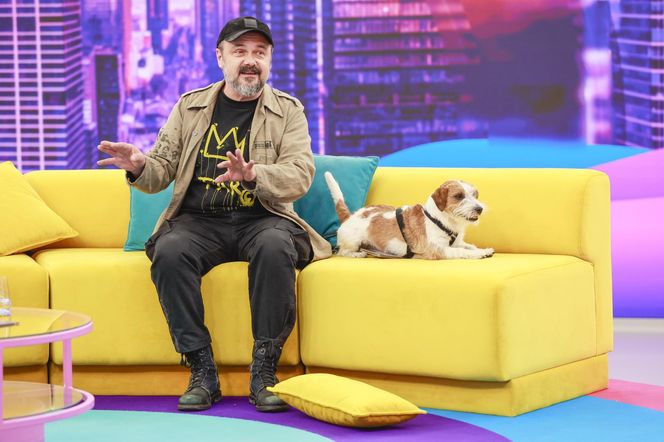 Te psy skradły serca gwiazd! 