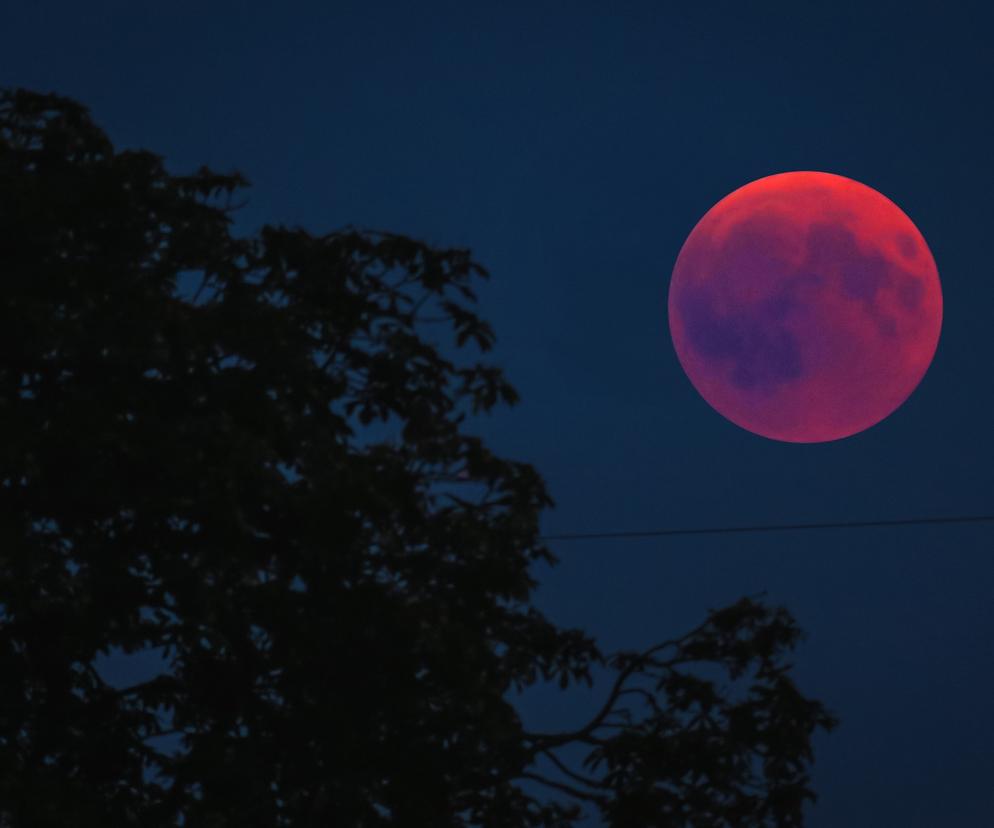 Zaćmienie Księżyca 2022 już za kilka dni! Czy zobaczymy je w Polsce?