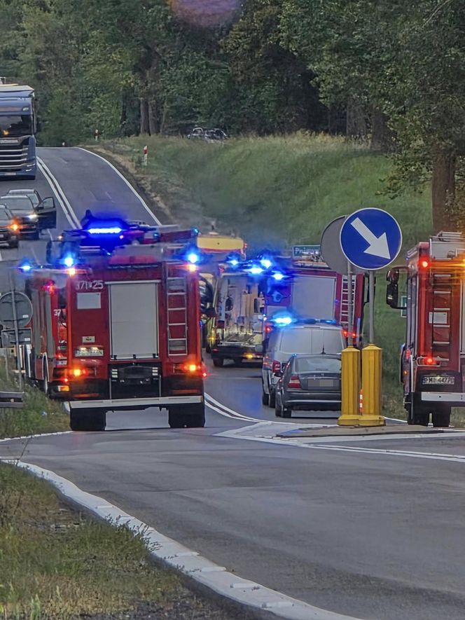 Przytoczna. Śmiertelny wypadek na DK 24. 49-latek nie żyje [ZDJĘCIA].