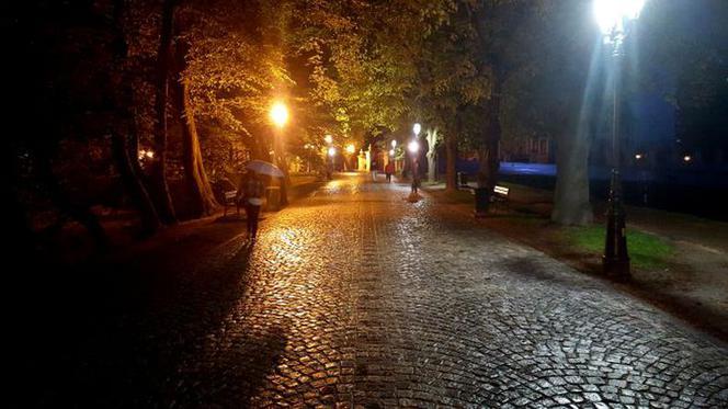 Aleja pod Kasztanami w Rzeszowie