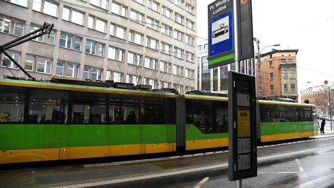 Ekologiczne słupy przystankowe staną w centrum. Zaprojektują je... studenci