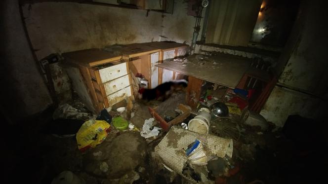 Horror w Tarczynie. Piwnica jak sala tortur