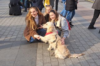 33. Finał WOŚP z grupą krakowskich Golden Retrieverów