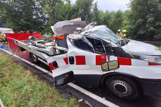 Dolny Śląsk. Drzewo spadło na busa. 56-latek nie żyje, cztery osoby są ranne 