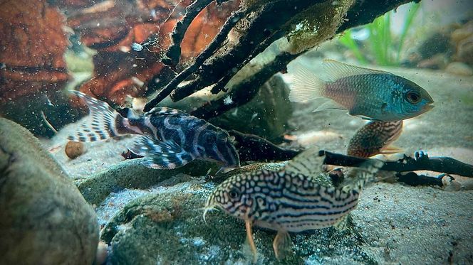 Rozmawiamy z Tomaszem Wiśniewskim, założycielem Aqua Dreams Bydgoszcz