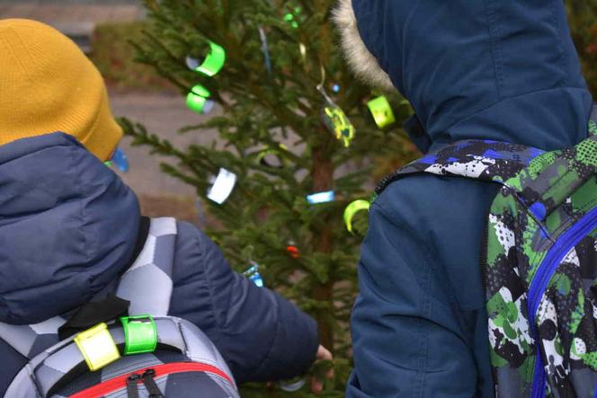 Pod Komendą Miejską Policji w Olsztynie stanęła oryginalna choinka. Każdy może ją "rozebrać" [ZDJĘCIA]