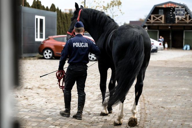 Śląska policja ma dwóch nowych funkcjonariuszy. To Donald i Rokita. Właśnie rozpoczęli szkolenie