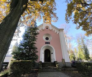 Słoneczna pogoda sprzyjała. 32. Kwesta Na Odnowę Zabytków Starego Cmentarza w Tarnowie