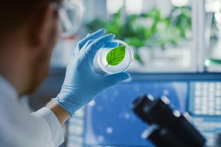 Na te kierunki studiów dostaniesz się łatwiej niż myślisz