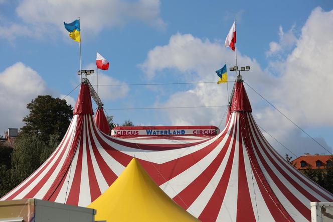 „Waterland”, czyli cyrk na wodzie w Lublinie. Na Błoniach pod Zamkiem rozłożono namiot cyrkowy