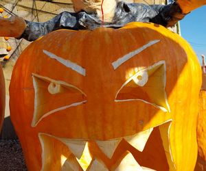 U Łukasza z Pawłowa hasło cukierek albo psikus nabiera innego wymiaru. Najbardziej halloweenowy dom świętokrzyskiego