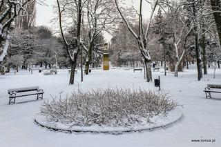 Park Jakuba Wagi zimą
