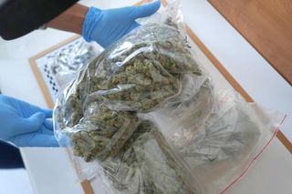 Policyjny nalot na mieszkanie w Toruniu. Zatrzymali 24-latka, znaleźli narkotyki