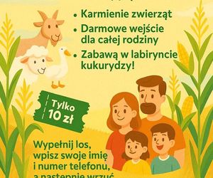 Labirynt w Łopuszce Małej zaprasza! Otwarcie sezonu 2025 już 19 lipca