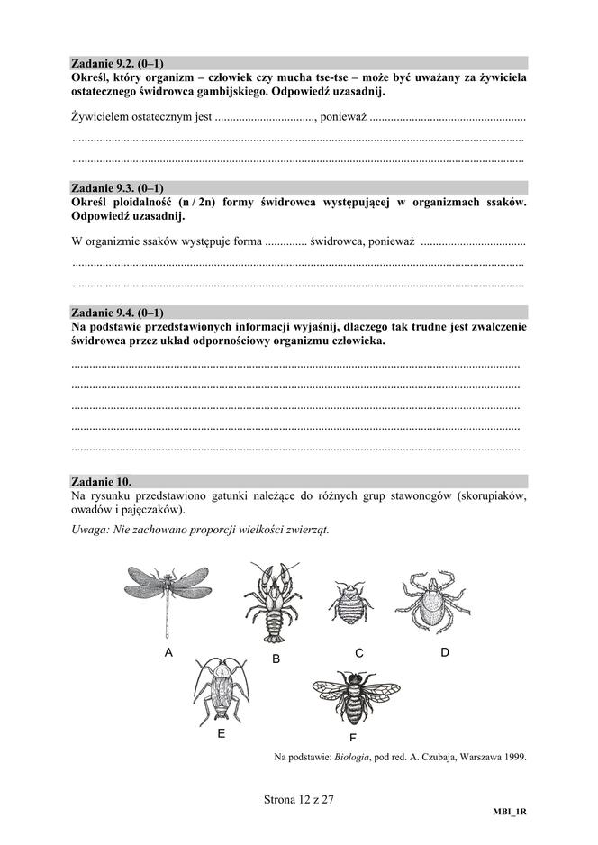 Matura 2019 z biologii [ARKUSZE CKE, ODPOWIEDZI]