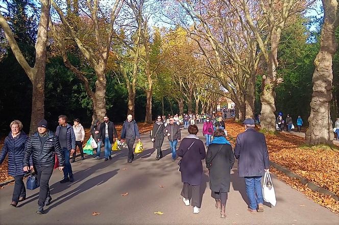 1 listopada na Cmentarzu Centralnym w Szczecinie